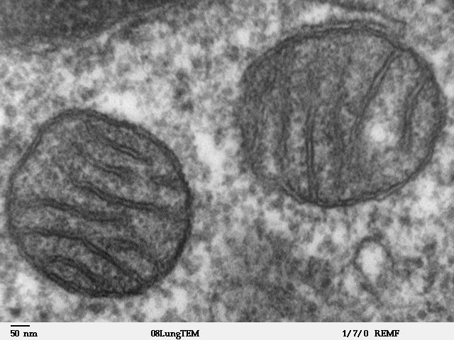 Thinking Outside the Cell